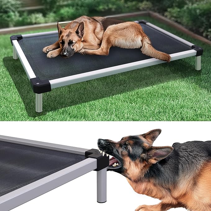 FXW TitanNest Chew-Proof Elevated Dog Bed, Raised Cot for Indoor/Outdoor/Camping Use, Durable &amp; Waterproof Cooling Pet Bed for Large Dogs, 50.0" L x 31.0" W x 7.3" H, Black