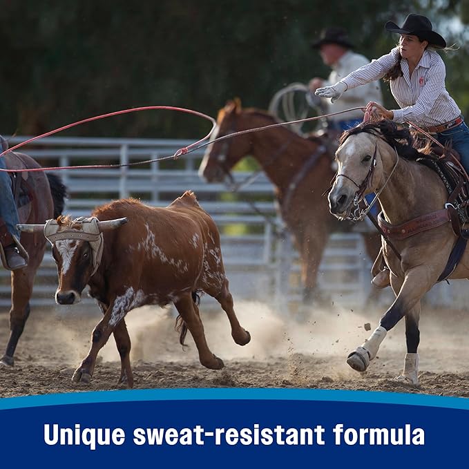 Farnam Endure Sweat-Resistant Fly Spray for Horses, Lasts Up to 14 Days, Protects Against Flies, Gnats, Mosquitoes, Ticks &amp; Lice, 128 oz.