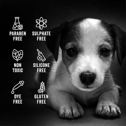 Pride and Groom The Sensitive One Box Set – Dog Shampoo &amp; Conditioner with All Natural Blend of Essential Oils &amp; Ingredients to Soothe, Nourish &amp; Untangle for Long Lasting Shine &amp; Manageability – 32oz
