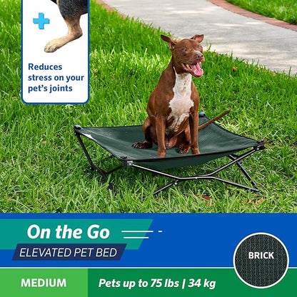 Coolaroo On-The-Go Elevated Dog Bed - Foldable Pop-Up Travel Dog Bed with Breathable, Moisture-Resistant Fabric, Carry Bag Included, Lightweight &amp; Portable, Brunswick Green, Medium
