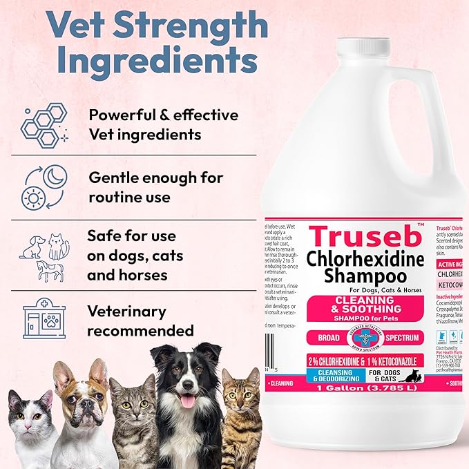 Truseb Topical Ketoconazole and Chlorhexidine Shampoo for Dogs, Cats &amp; Horses Pleasantly Scented with a Cucumber Melon Scent with Aloe (Ketoconazole &amp; Chlorhexidine Shampoo, 1 Gallon)