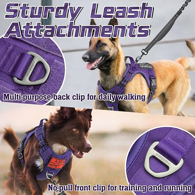 rabbitgoo Tactical Dog Harness Medium Sized Dog, No Pull Military Service Vest with Handle &amp; Molle, Easy Control for Training Walking, Adjustable Reflective Straps, Purple, M