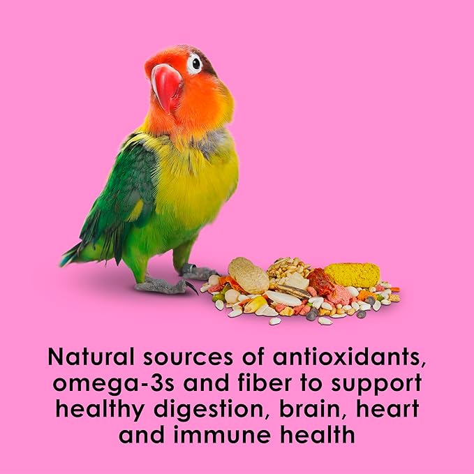 Kaytee Fiesta Big Bites Small Parrot &amp; Conure Food, Nutritious and Fun Blend, Supports Skin, Feather, Digestion, Brain and Heart Health, 4 pounds