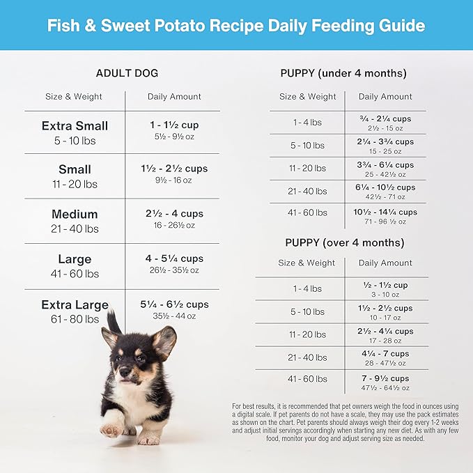 JustFoodForDogs DIY Nutrient Blend for Homemade Dog Food, Fish &amp; Sweet Potato Recipe, 5.92oz