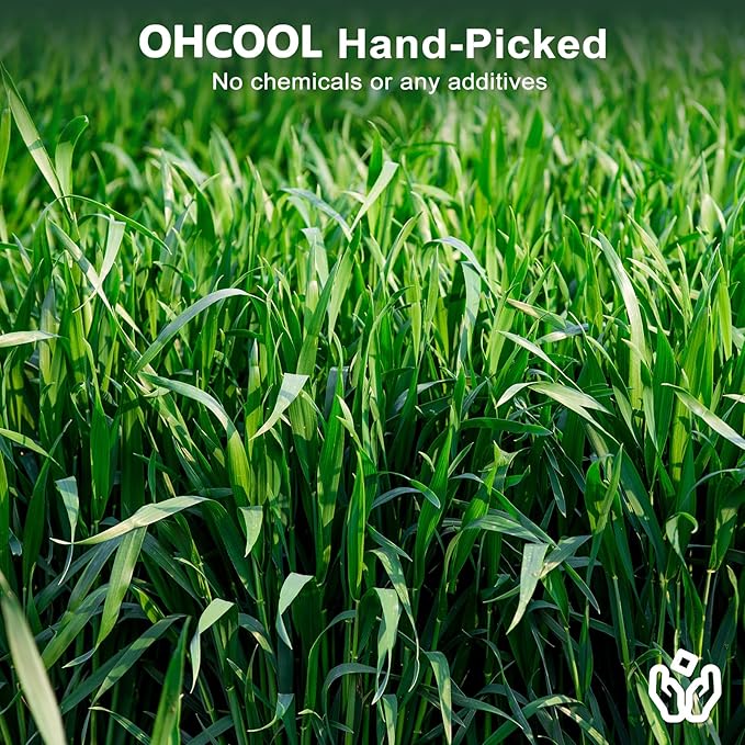 Premium Oat Hay for Pets - Dust Free Natural Green Fresh Pet Food Hay for Rabbits, Guinea Pigs, Chinchillas, Hamsters &amp; Gerbils - 2.2lbs
