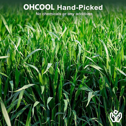 Premium Oat Hay for Pets - Dust Free Natural Green Fresh Pet Food Hay for Rabbits, Guinea Pigs, Chinchillas, Hamsters &amp; Gerbils - 2.2lbs