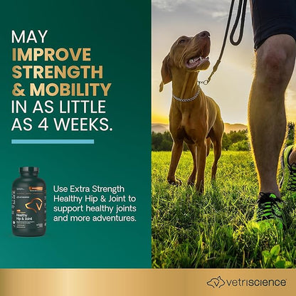 VetriScience Glycoflex 3 Clinically Proven Hip and Joint Supplement for Dogs - Maximum Strength Dog Supplement with Glucosamine, MSM, Green Lipped Mussel &amp; DMG - 120 Chewable Tablets, Chicken Flavor