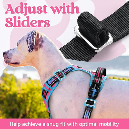 rabbitgoo Dog Harness Medium Sized, No Pull Dog Vest with 3 Buckles, Adjustable Soft Padded Pet Harness with Easy Control Handle and Reflective Strips, Rose Pink &amp; Blue, M