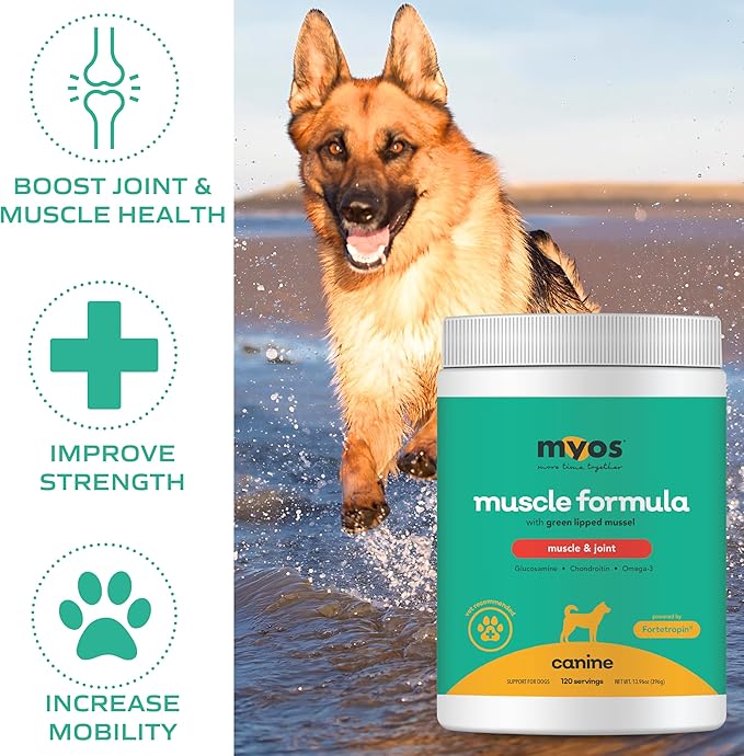 MYOS Muscle &amp; Joint Powered by Fortetropin with Green Lipped Mussel (396 gr)