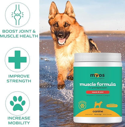 MYOS Muscle &amp; Joint Powered by Fortetropin with Green Lipped Mussel (396 gr)