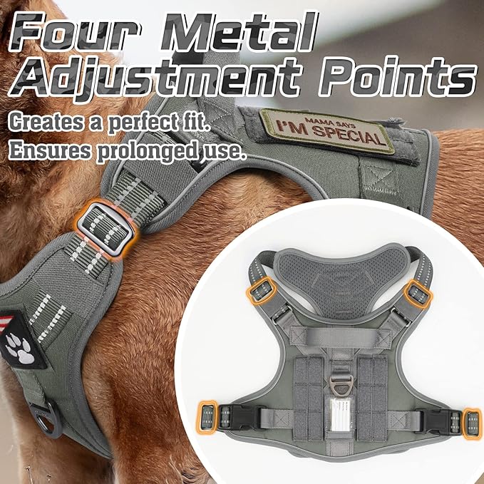 rabbitgoo Tactical Dog Harness for Small Dogs, No Pull Military Service Vest with Handle &amp; Molle, Easy Control for Training Walking, Adjustable Reflective Straps, Dark Grey, S