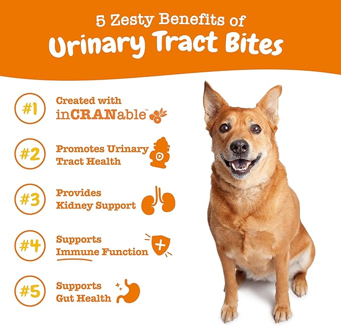Zesty Paws Cranberry Supplement for Dogs - Bladder Control for Dogs - Urinary Tract Support - Cranberry Chews - Immune &amp; Gut Support - Chicken - 90 Count