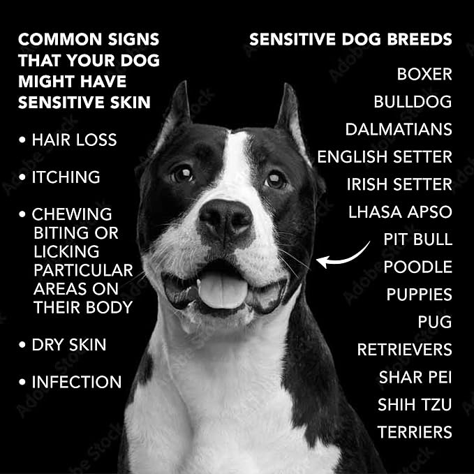 Pride and Groom The Sensitive One Box Set – Dog Shampoo &amp; Conditioner with All Natural Blend of Essential Oils &amp; Ingredients to Soothe, Nourish &amp; Untangle for Long Lasting Shine &amp; Manageability – 32oz