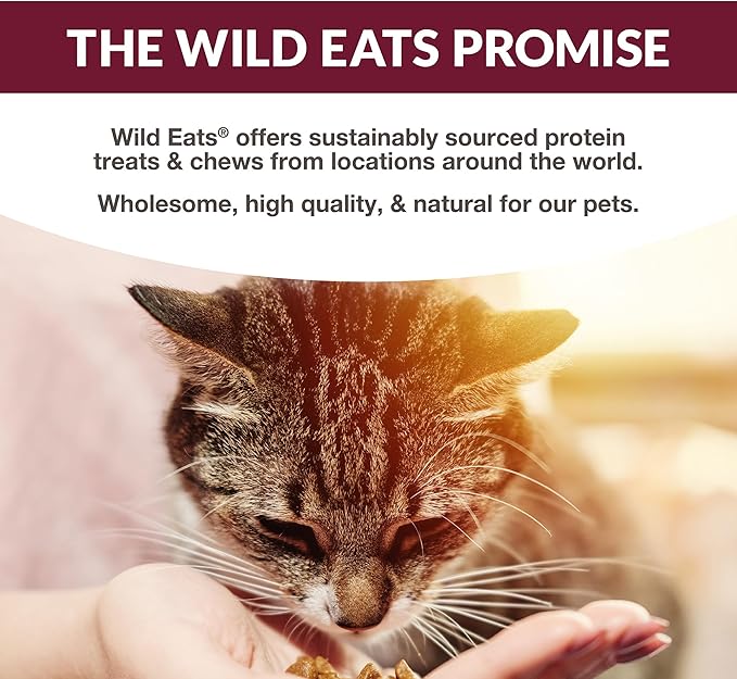 Simply Puree Salmon with Ancient Grains Tub for Cats | 48 Individual Servings | High-Protein, Grain-Enriched Cat Treat | All-Natural, No Artificial Additives | Smooth and Delicious Puree
