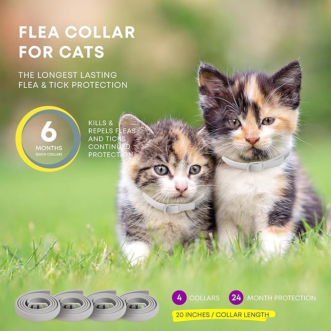 Flea and Tick Prevention Collars for Cats: Effective Pet Flea &amp; Tick Treatment for Cats - Waterproof Adjustable Flea Tick Collars for Large &amp; Small Cat, Outdoor Fleas Ticks Control for Kittens 4 Pack