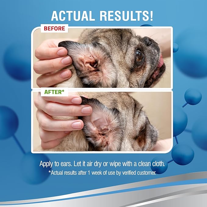 PetSilver Ear Cleaner for Dogs &amp; Cats – Gentle Otic Rinse with Chelated Silver Formula – Supports Clear, Comfortable Ears – Easy to Use – Thoughtfully Made in The USA with Care – 8 fl oz