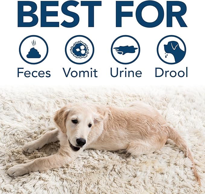 Simple Solution Stain &amp; Odor Eliminator for Pets, Carpet Deodorizer, Enzyme Pet Odor Eliminator for Home, Stain Remover for Cat &amp; Dog Pee, Urine Destroyer, Carpet Cleaner Spray, Gallon