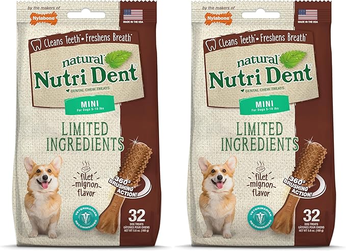 Nylabone Nutri Dent Dog Dental Chews - Natural Dog Teeth Cleaning &amp; Breath Freshener - Dental Treats for Dogs - Filet Mignon Flavor, Mini (32 Count) (Pack of 2)