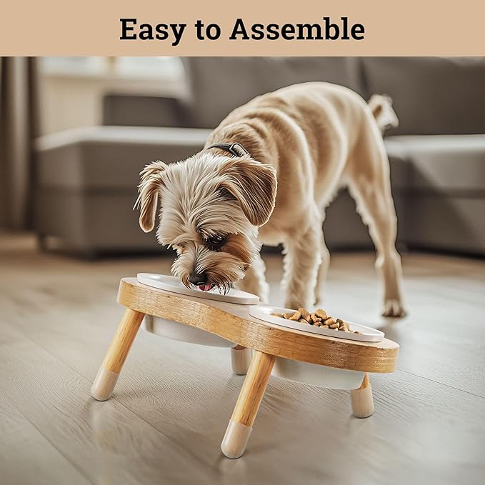 Elevated Cat Bowls - Set of 2 Ceramic Pet Food Bowls with Anti-Slip Bamboo Stand - 15 Degree Titled - Raised Dog Bowl for Small Dogs - Raised Cat Bowl Stand - Pet Feeding Station for Cats &amp; Small Dogs