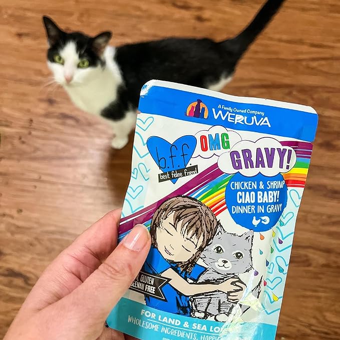 Weruva B.F.F. OMG - Best Feline Friend Oh My Gravy!, Chicken &amp; Turkey Text Me with Chicken &amp; Turkey in Gravy, 2.8oz Pouch (Pack of 12)