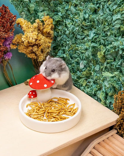 Niteangel Small Animal Snack &amp; Treats Toy - Small Critter Natural Treat for Dwarf Syrian Robo Hamsters Gerbils Mice Lemmings Sugar Glider Hedgehogs Chickens Birds or Other Small-Sized Pets