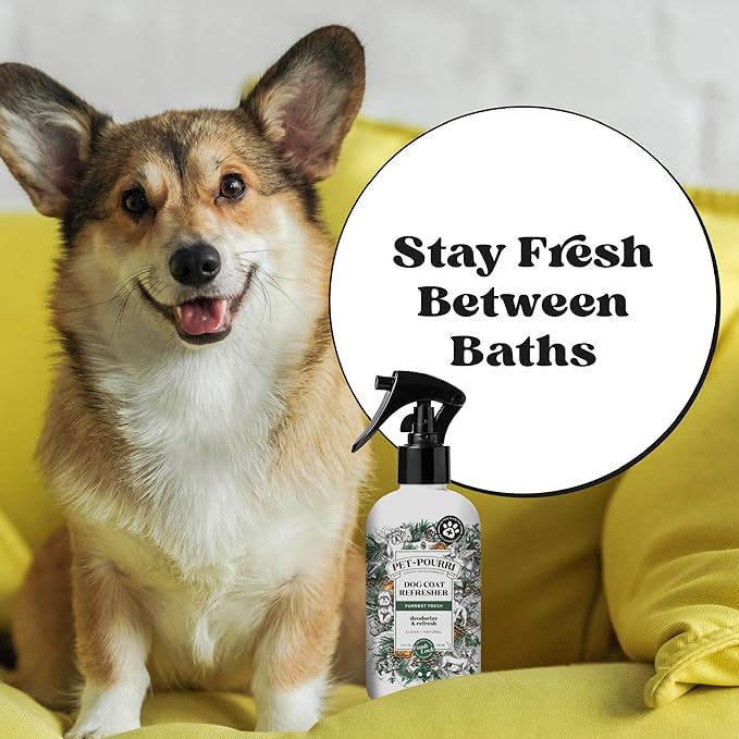 Poo-Pourri Furrest Fresh Dog Deodorizing Spray, 8 Fl Oz Grooming Perfume for Dog Coat, Pet Odor Neutralizer with Essential Oils, Vet Recommended, Paraben &amp; Sulfate-Free Fir, Amber, &amp; Cedarwood Scent