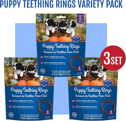 N-Bone Puppy Teething Rings Pumpkin Flavor 6 Count Bag Multi Pack, Total 3 Bags, 21.6-oz (18 Rings)