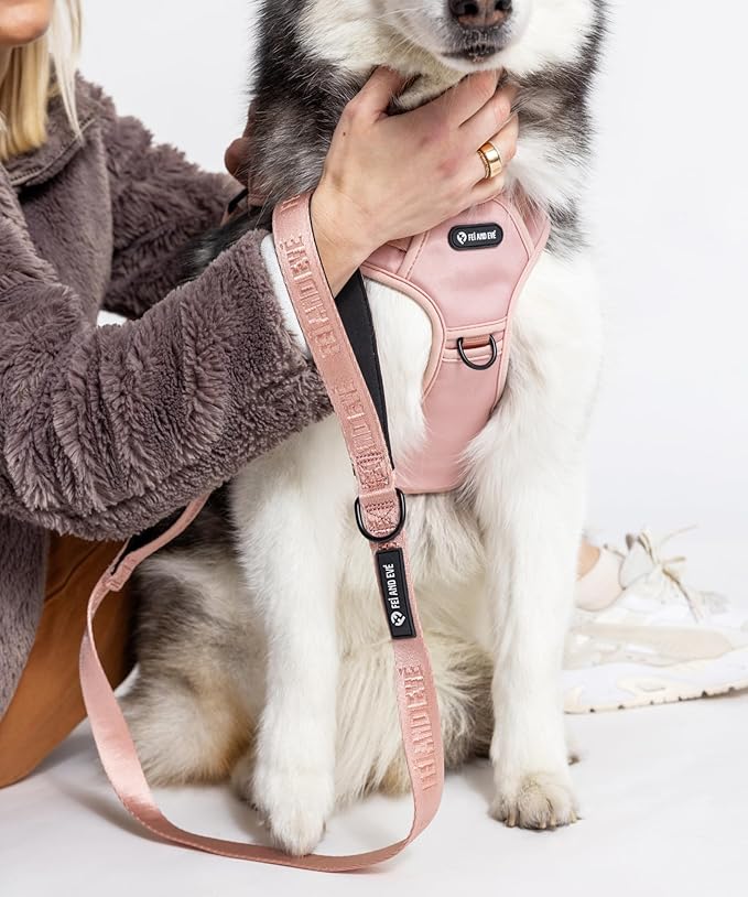 2025 New Edition, Fei &amp; Eve MagEase Dog Harness - 3-Second Magnetic Buckles | 3-Point No-Pull Control | Heavy-Duty 900D Nylon | Dual Safety Handles | Breathable Mesh | Adjustable Fit | Medium, Pink