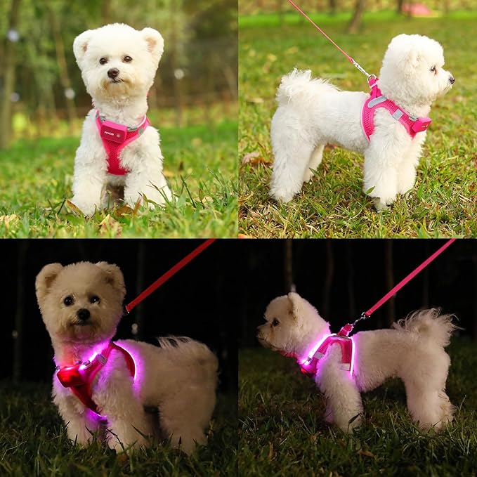 Light Up Dog Harness,Rechargeable LED Dog Harness for Small Medium Large Dogs,Reflective Lighted Safety Vest for Night Walking &amp; Camping,Lightweight &amp; Adjustable,Pink,M