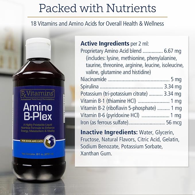 Rx Vitamins Amino B-Plex Cat &amp; Dog Supplement - Vitamin B Complex Liquid Plus Amino Acids for Dogs &amp; Cats - Appetite Booster and Cat &amp; Dog Weight Gainer - Supplements &amp; Vitamins - 8 oz