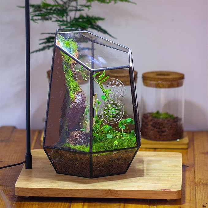 NCYP Closed Geometric Glass Enclosure with Front Opening Door &amp; 2 Vent Holes for Insects, Succulent, Cacti - 7.9"x6.9"x9.8" Black Irregular Terrarium Planter - Home Garden Tabletop Decor (No Plants)