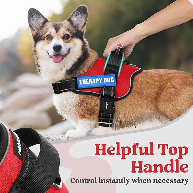 rabbitgoo Dog Harness for Large, Easy On Pet Vest with One Buckle, No Pull Adjustable Service Harness with D-Ring &amp; Handle, Reflective for Safety Walking, Training, Red, XL