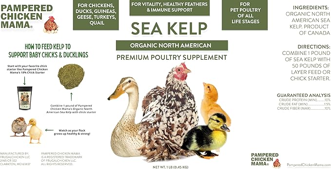 Organic Kelp for Chickens &amp; Duck Feed (1 Pound): Chicken Vitamins | Chicken Supplements | Vitamins for Chickens | Pampered Chicken Mama