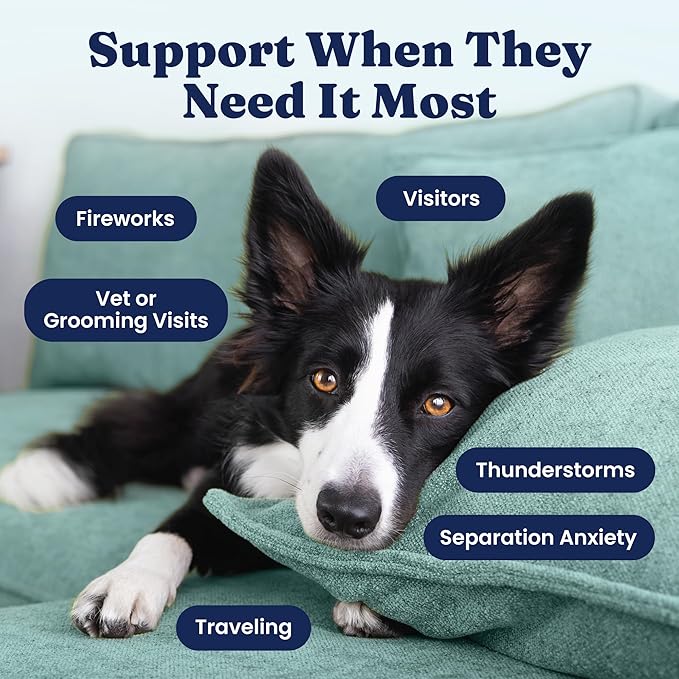 Solid Gold Calming Chews for Dogs - Dog Calming Chews w/Melatonin for Separation, Stress &amp; Hyperactivity Relief - Supports Relaxation for Travel, Fireworks &amp; Storms - All Ages &amp; Sizes - Bacon 120ct