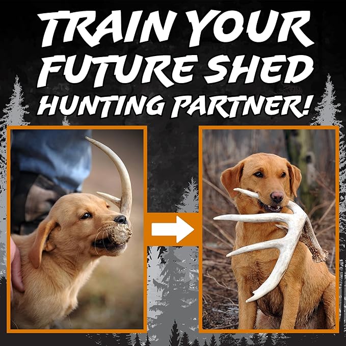DogBone Shed Hunting Dog Training Kit – Train Your Puppy to Find Deer Antlers - Includes 2 oz Scent for Nosework &amp; Flexible Floating Dummy for Retrieving - Perfect for Whitetail Hunters