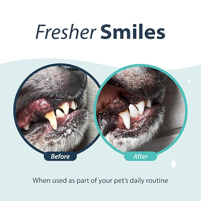 Dental Fresh Oral Spray for Dogs and Cats, Eliminates Bad Breath and Protects Their Teeth &amp; Gums, 4 Fl Oz.