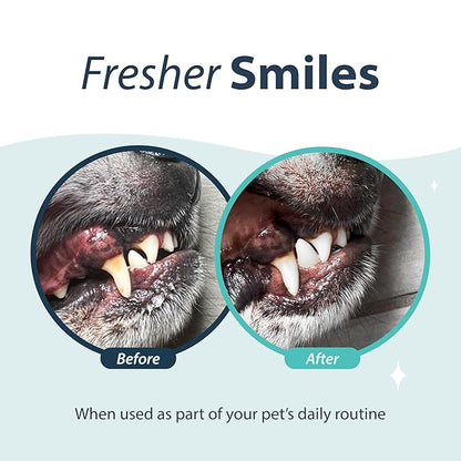 Dental Fresh Oral Spray for Dogs and Cats, Eliminates Bad Breath and Protects Their Teeth &amp; Gums, 4 Fl Oz.