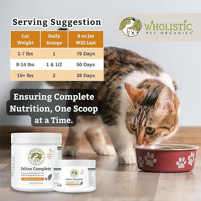 Wholistic Pet Organics Feline Complete Organic Pumpkin - 8 Oz - Multivitamin &amp; Probiotic Powder for Cats - Natural Cat Food &amp; Digestive Support