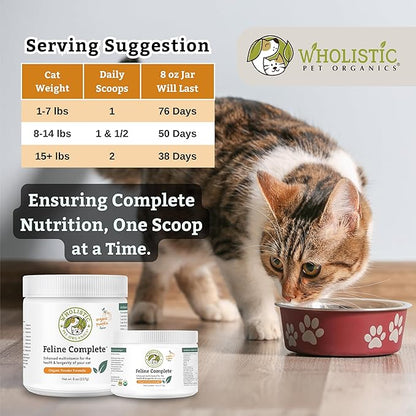 Wholistic Pet Organics Feline Complete Organic Pumpkin - 8 Oz - Multivitamin &amp; Probiotic Powder for Cats - Natural Cat Food &amp; Digestive Support