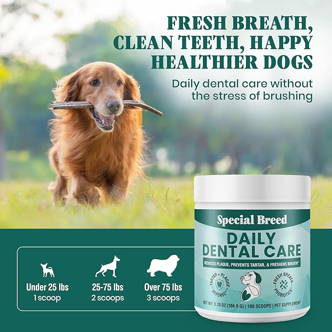 Dog Teeth Cleaning Powder – Natural Dog Dental Powder for Tartar Control, Fresh Breath &amp; Gum Health – Daily Plaque Remover with Zeolite, Brown Algae, Probiotics &amp; Rosemary – 180 Scoops