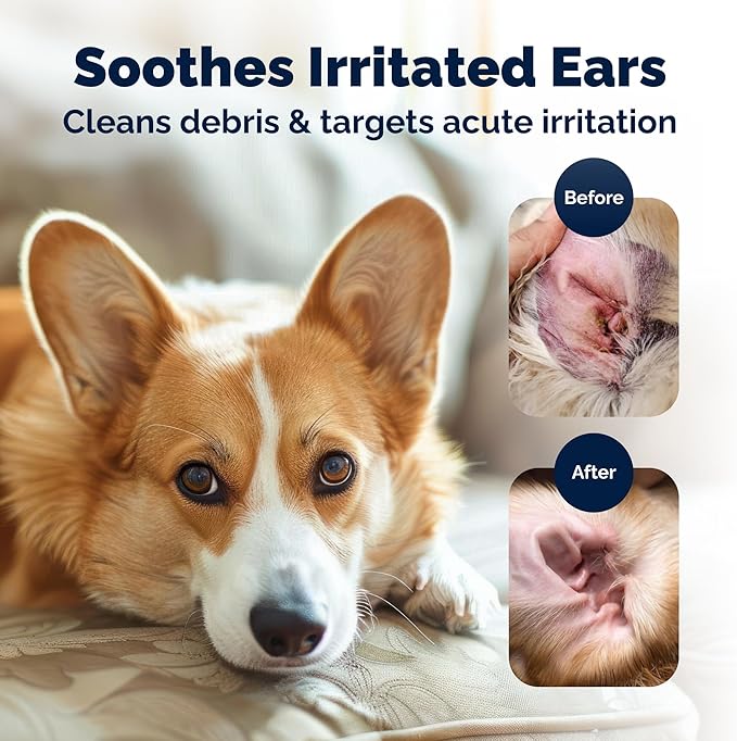 Vetnique Oticbliss Advanced Strength Medicated Dog Ear Infection Treatment, Antiseptic Ear Cleaner for Cat &amp; Dog Ear Cleaning Solution Chlorhexidine &amp; Ketoconazole (6oz Flush)