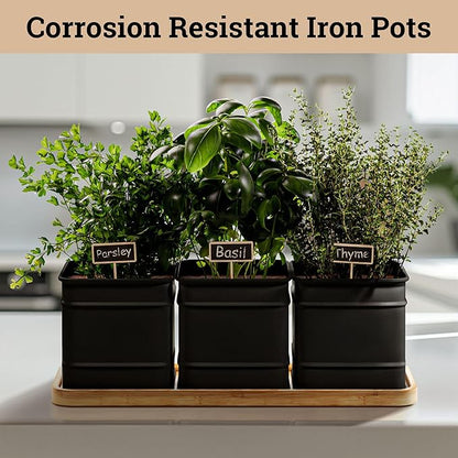Herb Planter Indoor - 3 Iron Herb Pots with Drainage Holes, Varnished Bamboo Tray, Customizable Labels &amp; Marker Pen - Indoor Herb Garden Planter - 3 Pots for Herbs - Inside Spice Garden - Basil Pot