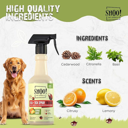 Shoo! Flea &amp; Tick Spray for Dogs and Home | Plant Based, Natural Oils, Chemical Free Formula | Kills, Repels, Prevents | 16 oz (Citrus Burst)