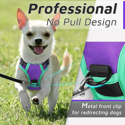 Eagloo Small Dog Harness No Pull, Service Vest with Reflective Strips and Control Handle, Adjustable and Comfortable for Walking, No Choke Pet Harness with 2 Metal Rings, Purple &amp; Green, XS