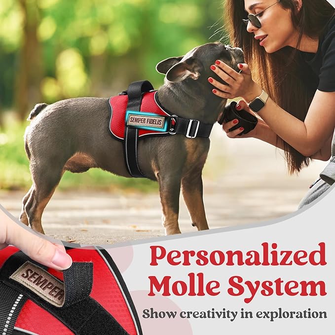 rabbitgoo Dog Harness Medium Sized, Easy On Pet Vest with One Buckle, No Pull Adjustable Service Harness with D-Ring &amp; Handle, Reflective for Safety Walking, Training, Red, M
