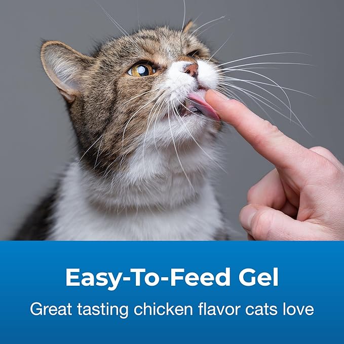PetAg Vitamin &amp; Mineral Gel Supplement for Cats - 3.5 oz - Provides Basic Daily Vitamins &amp; Minerals for Cats 4 Months and Older - Easy to Digest
