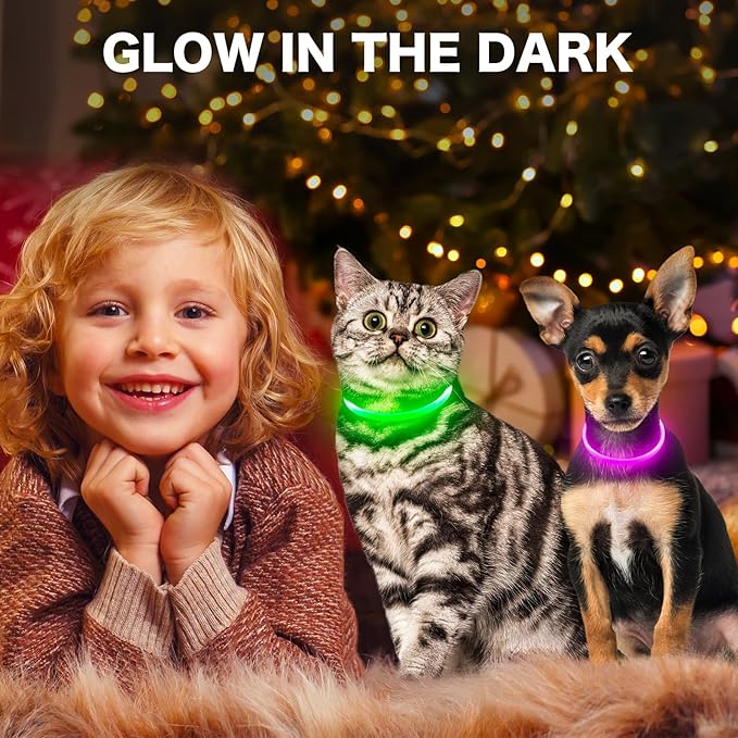 BSEEN Light Up Dog Collar - Rainproof Rechargeable LED Dog Collar - TPU Cuttable Glowing Pet Collar for Small Dogs&amp; Cats - Puppy Safety Dog Lights for Night Walking (XS- Green 40cm)