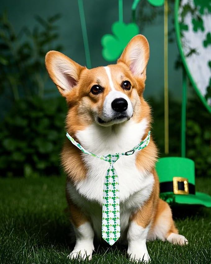 PET SHOW 10 Pack St. Patrick&