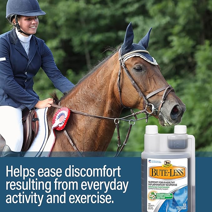 Absorbine Bute-Less Long-Term Horse Comfort &amp; Recovery Supplement Solution, Gentle on Stomach, Devil&