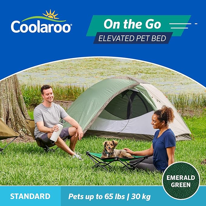 Coolaroo On-The-Go Elevated Dog Bed - Foldable Pop-Up Travel Dog Bed with Breathable, Moisture-Resistant Fabric, Carry Bag Included, Lightweight &amp; Portable, Emerald Green, Standard